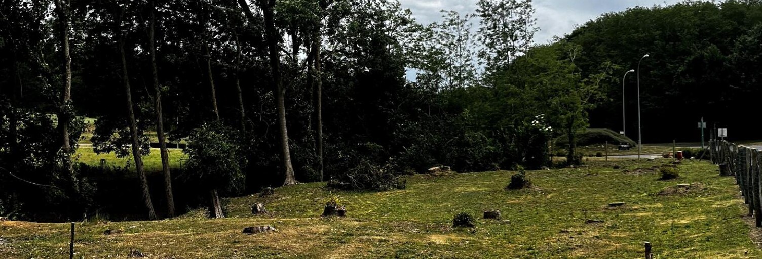 Terrain  1220 m² à vendre à Neuilly-Saint-Front (02470)