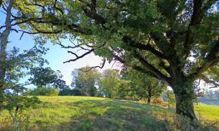 Terrain   m² à vendre à Montdurausse (81630)