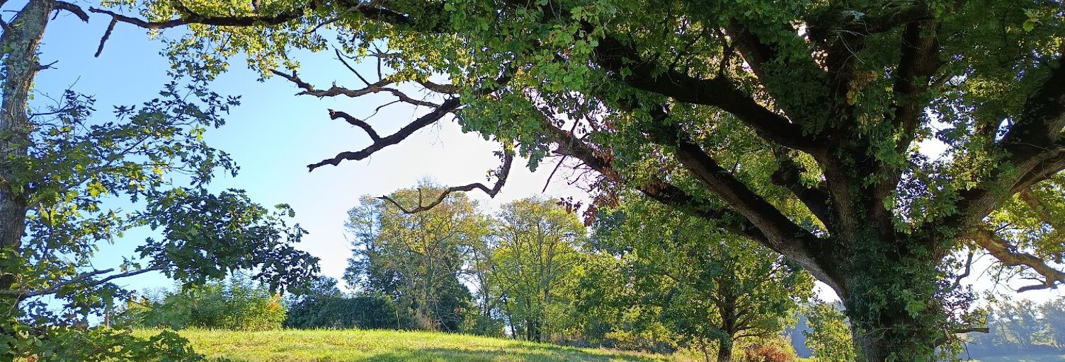 Terrain   m² à vendre à Montdurausse (81630)