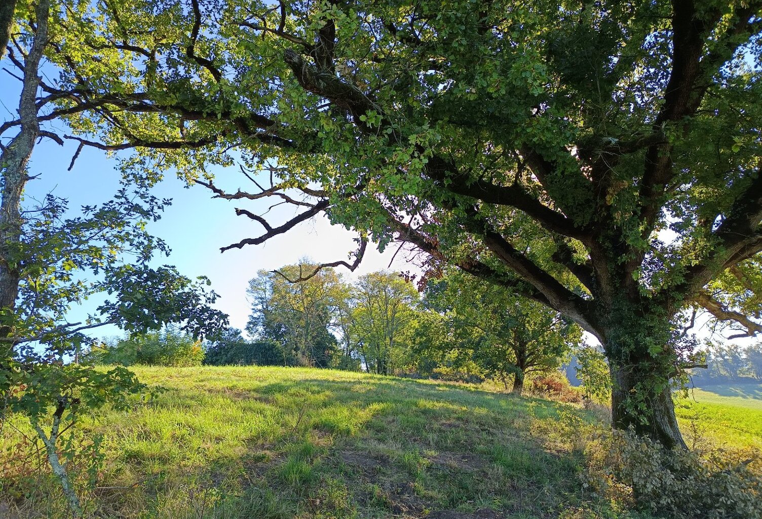 Terrain agricole — photo 1