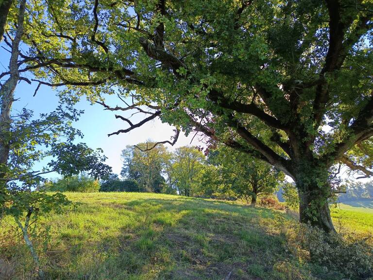 Terrain agricole — photo 1