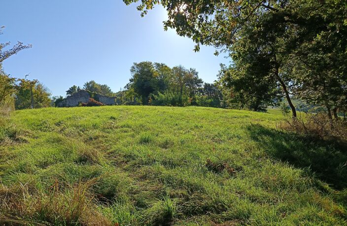 Terrain agricole — photo 4