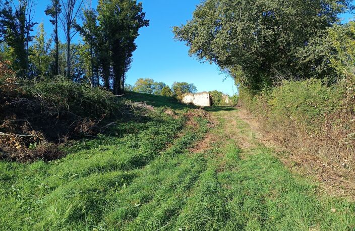 Terrain agricole — photo 5