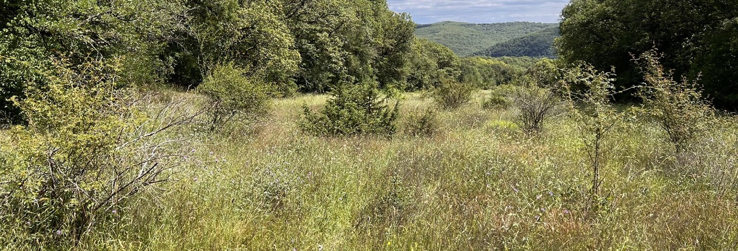 Maison 7 Pièces 230 m² à vendre à Marcilhac-sur-Célé (46160)