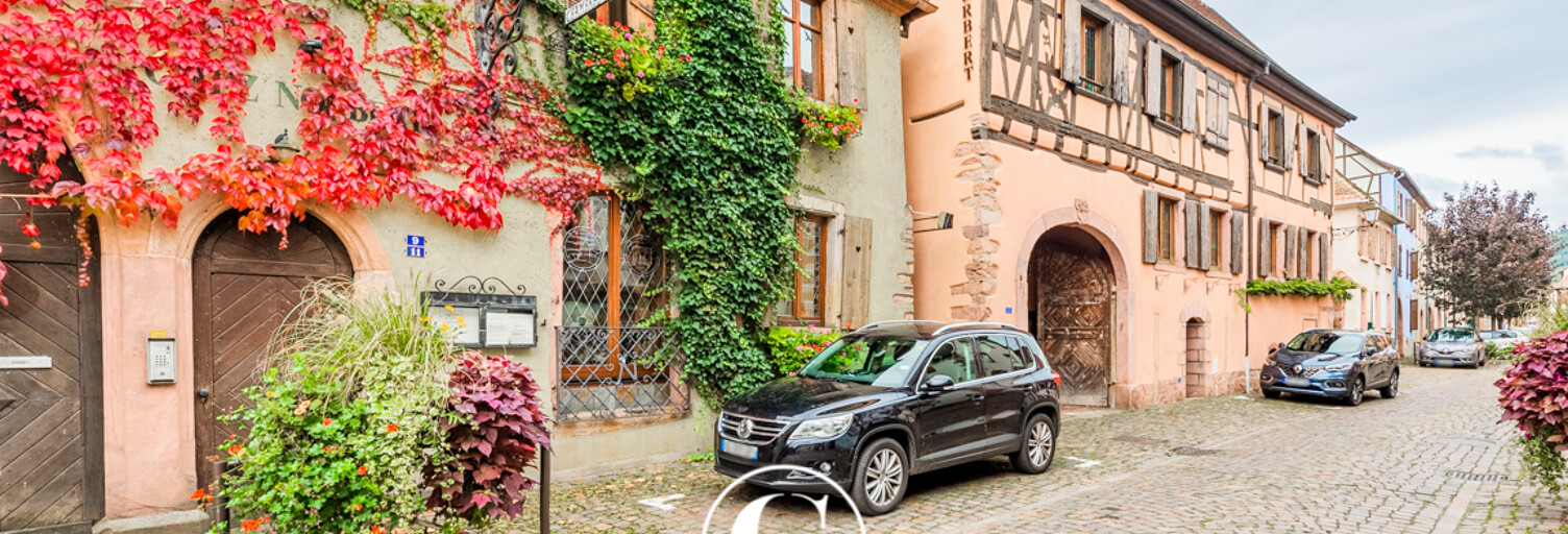 Immeuble  785 m² à vendre à Bergheim (68750)