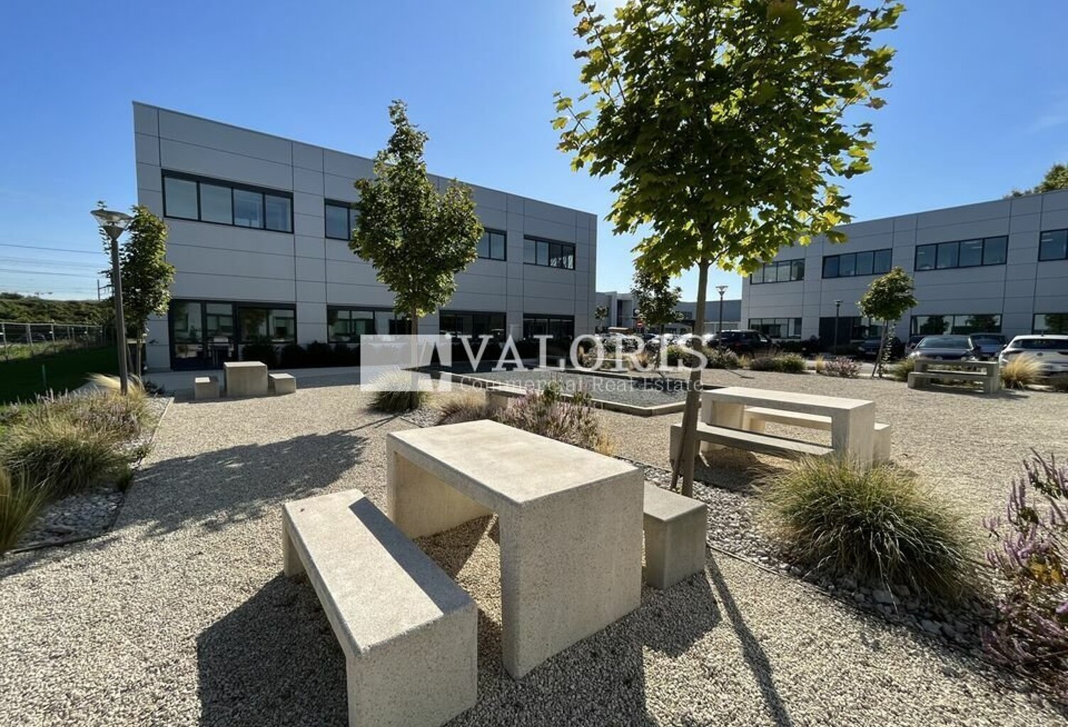 BUREAUX à LOUER — photo 1