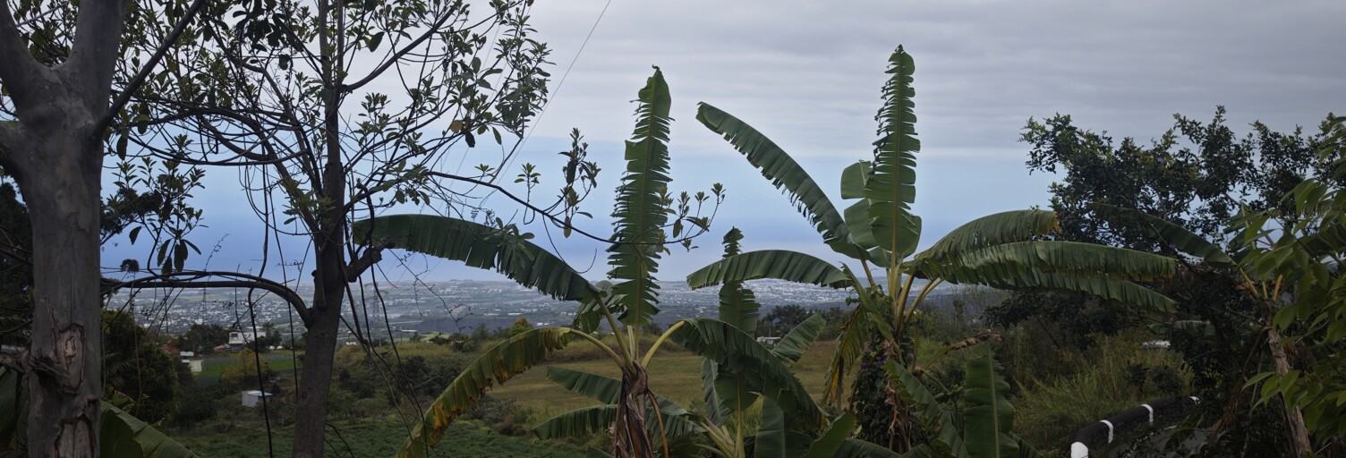 Terrain  919 m² à vendre à Le Tampon (97430)