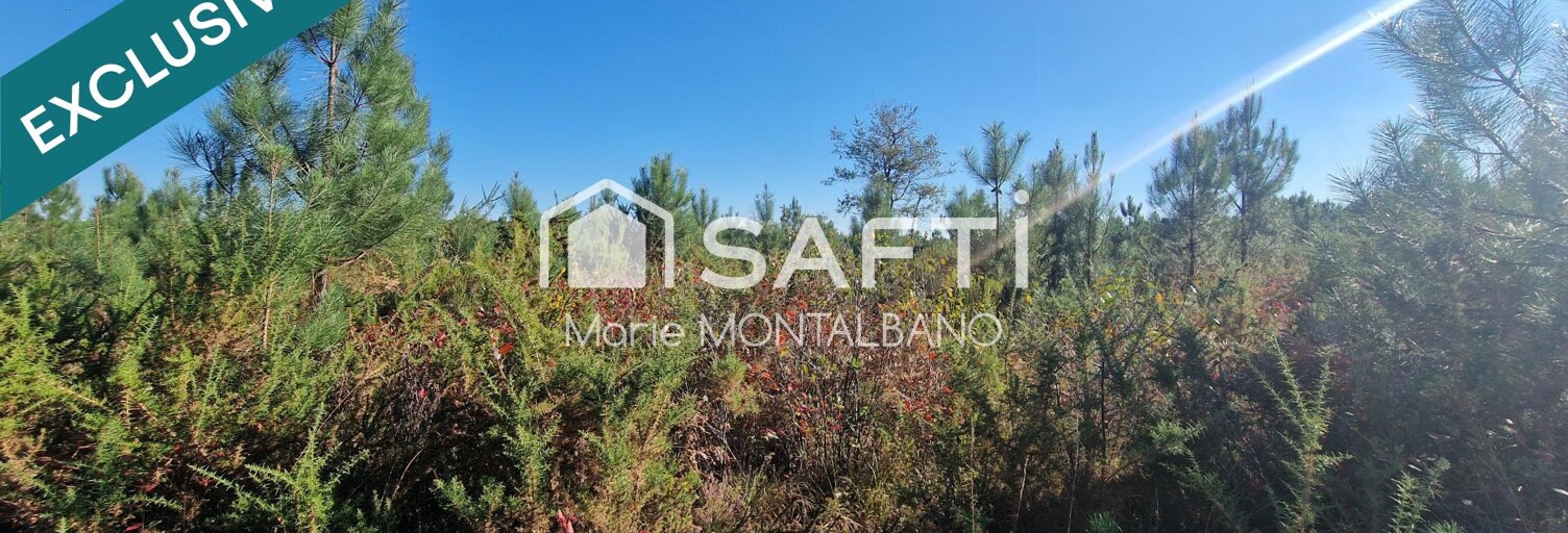 Terrain  59300 m² à vendre à Biganos (33380)