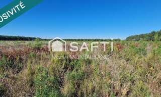 Terrain  20264 m² à vendre à Sanguinet (40460)