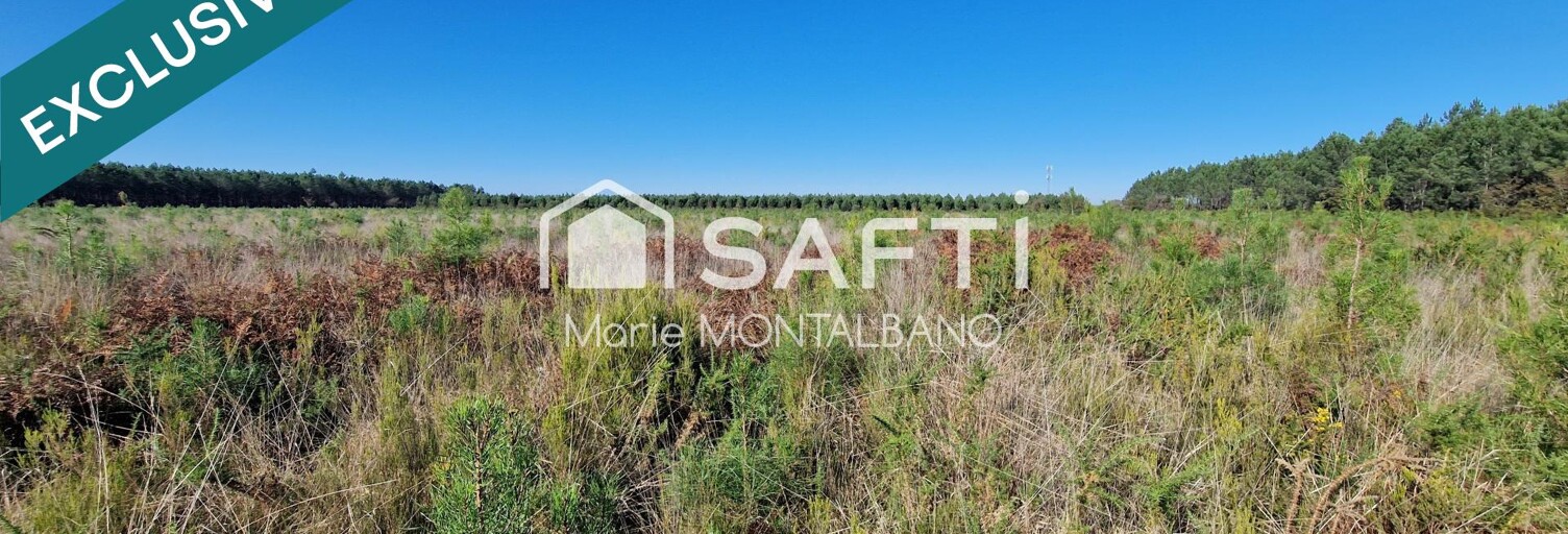 Terrain  20264 m² à vendre à Sanguinet (40460)