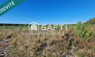 Terrain  15553 m² à vendre à Sanguinet (40460)