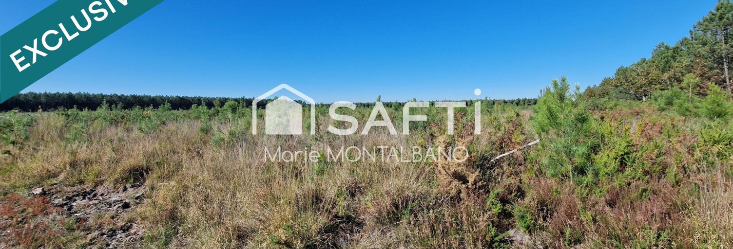 Terrain  15553 m² à vendre à Sanguinet (40460)