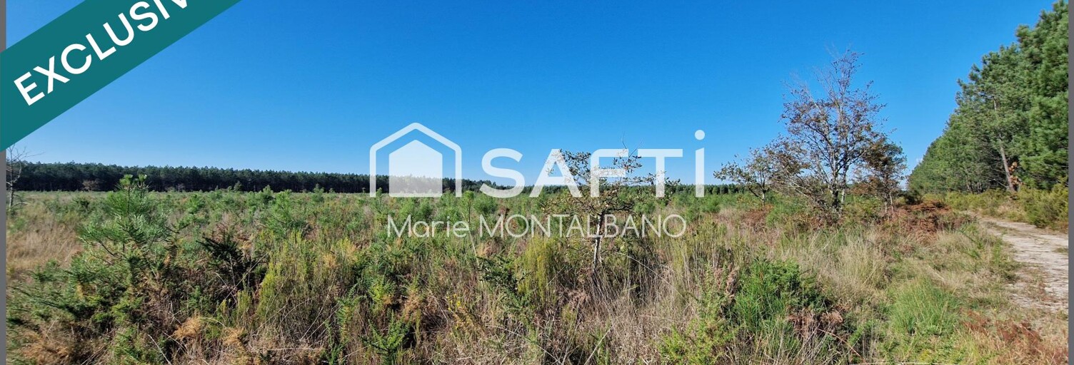 Terrain  16696 m² à vendre à Sanguinet (40460)