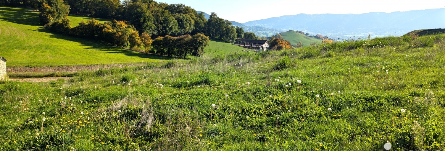 Terrain  1002 m² à vendre à Beaulieu (43800)