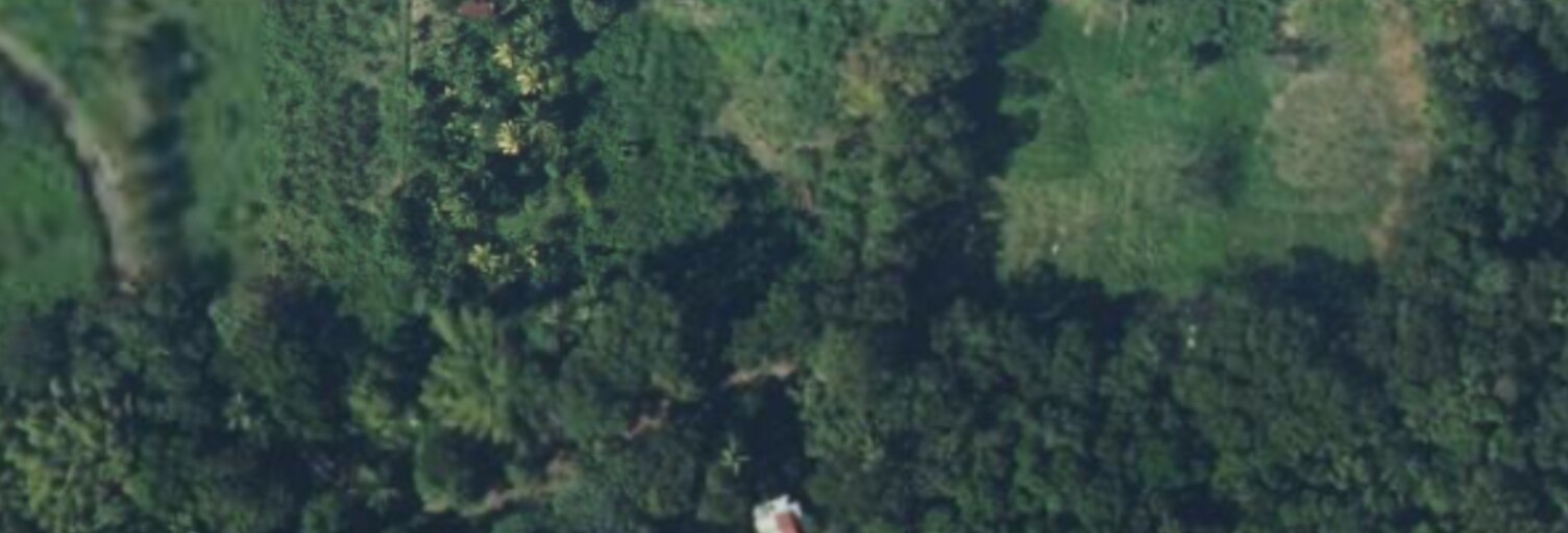 Terrain  6350 m² à vendre à Rivière-Salée (97215)