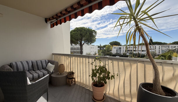 Appartement 3 pièces  à vendre Grande-Motte (La) 34280