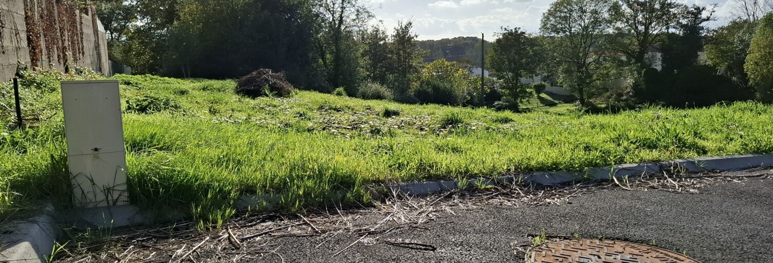 Terrain  1015 m² à vendre à La Chapelle-Palluau (85670)