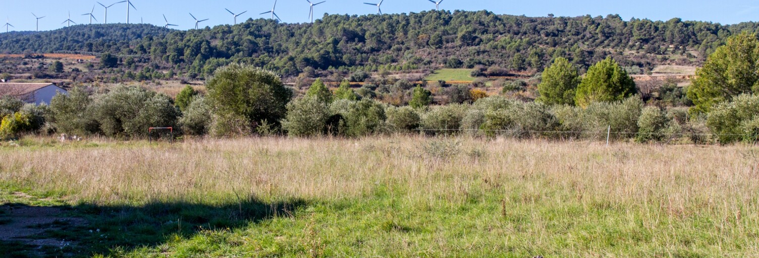 Terrain  1153 m² à vendre à Mailhac (11120)