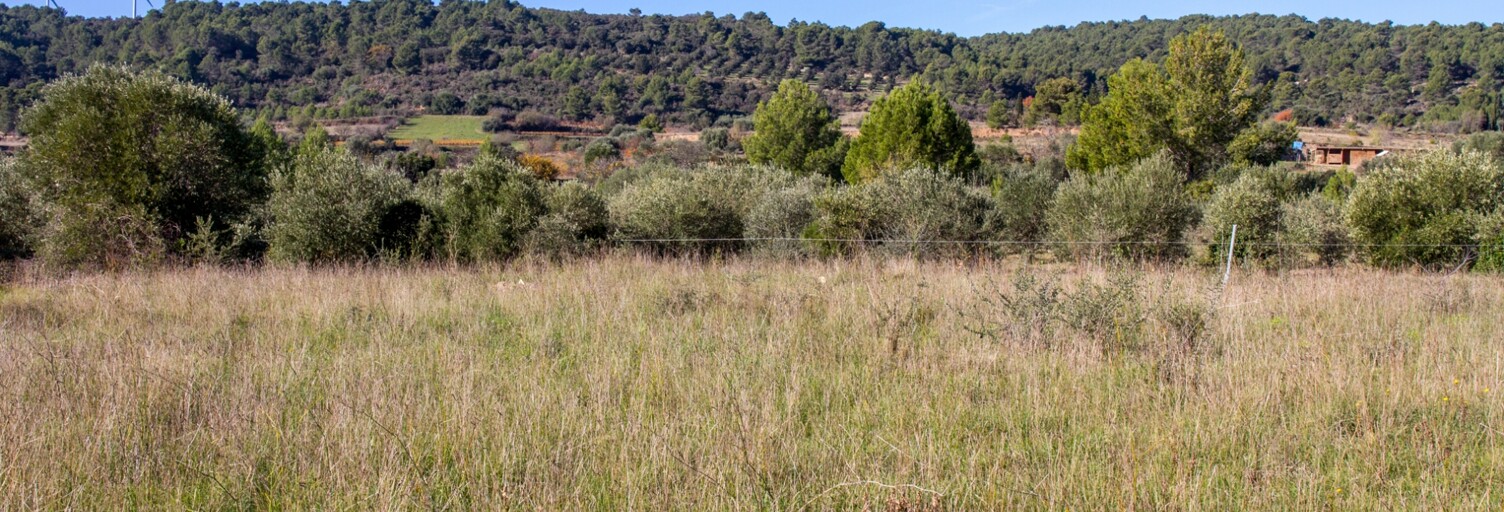 Terrain  1194 m² à vendre à Mailhac (11120)