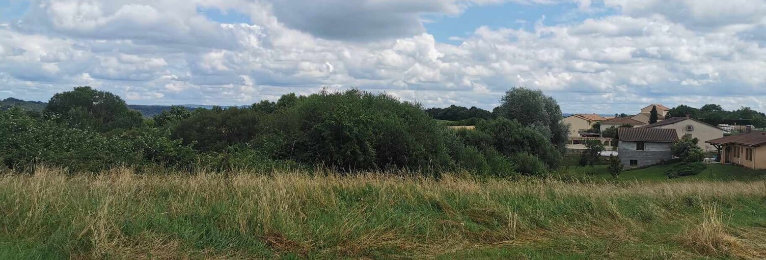 Terrain  4502 m² à vendre à Beauregard-de-Terrasson (24120)