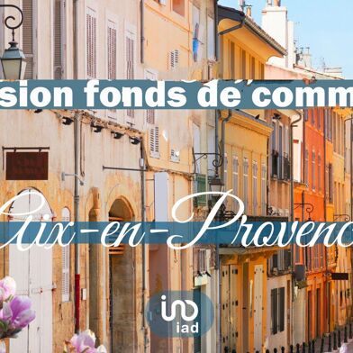 Commerce  370000 €