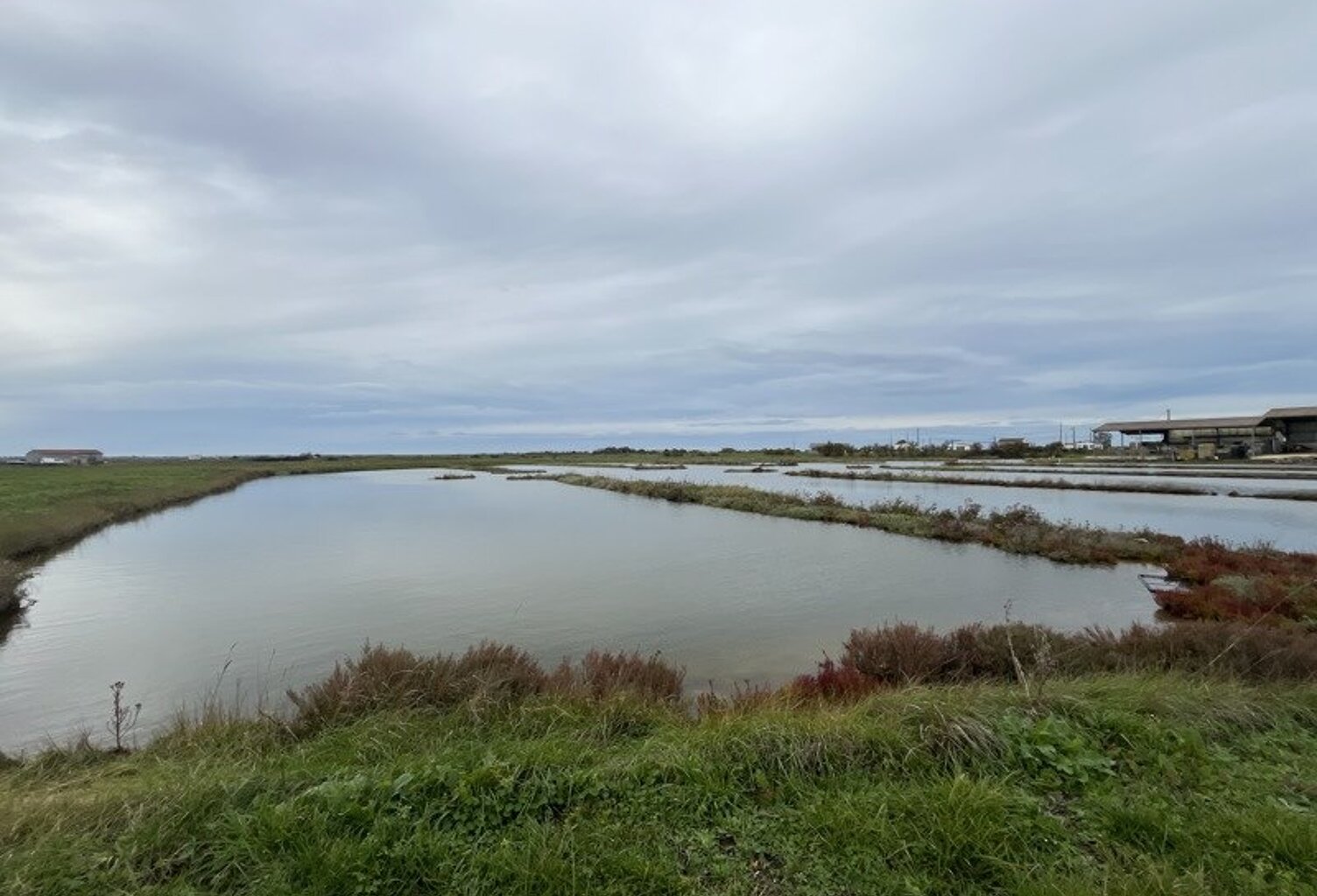 Propriété Agricole de 0 pièces principales — photo 1