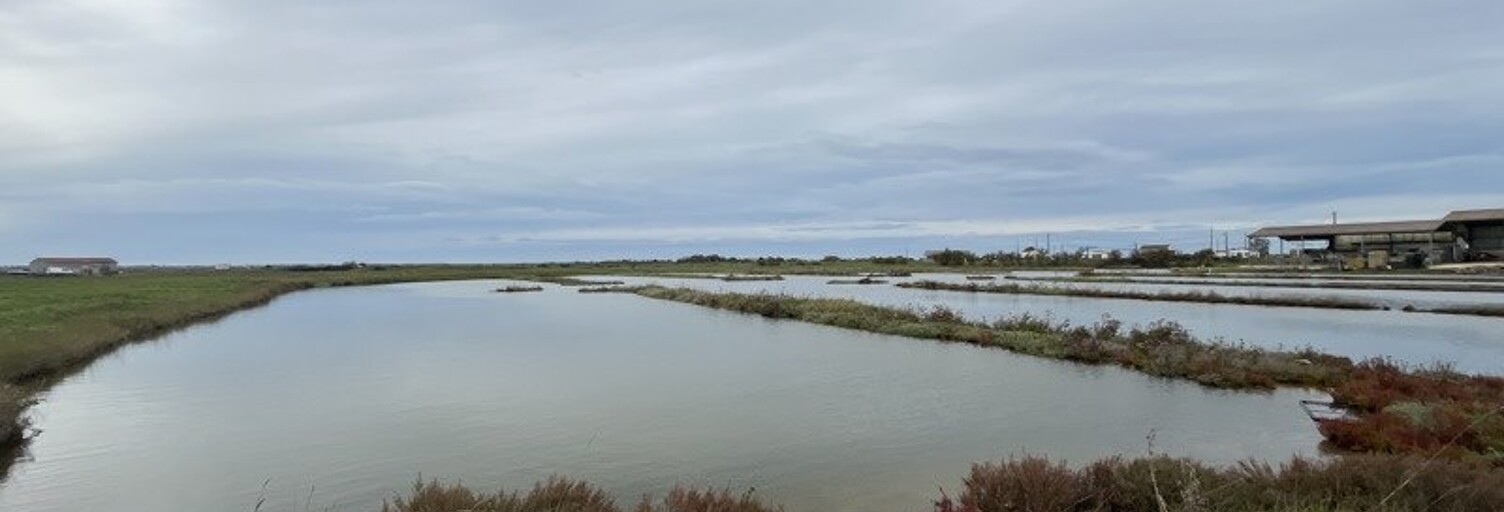 Maison  85 m² à vendre à Nieulle-sur-Seudre (17600)