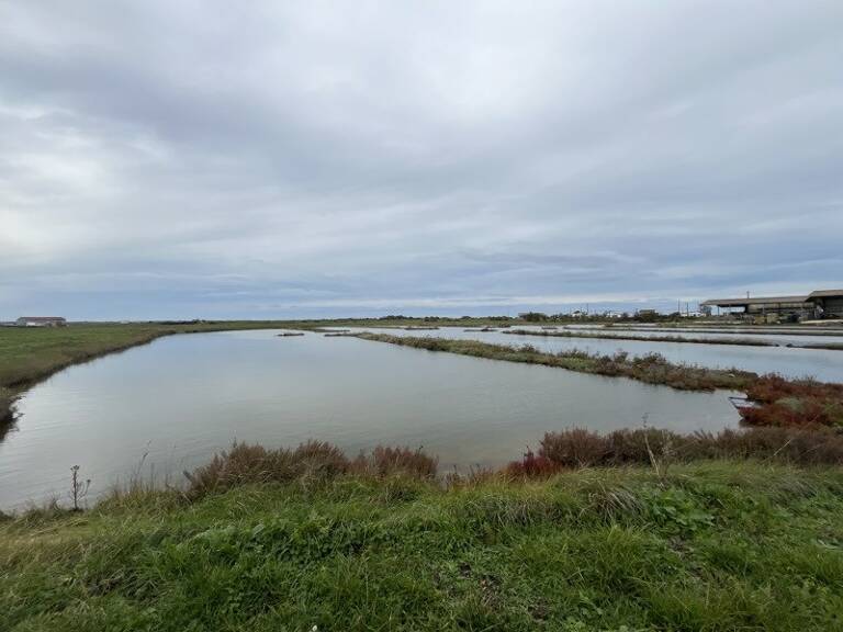 Propriété Agricole de 0 pièces principales — photo 1