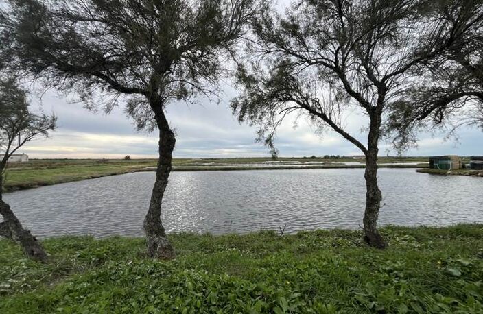 Propriété Agricole de 0 pièces principales — photo 3