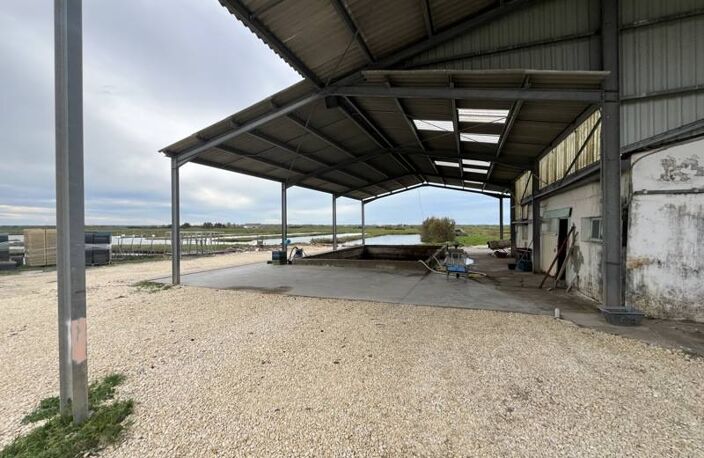 Propriété Agricole de 0 pièces principales — photo 4