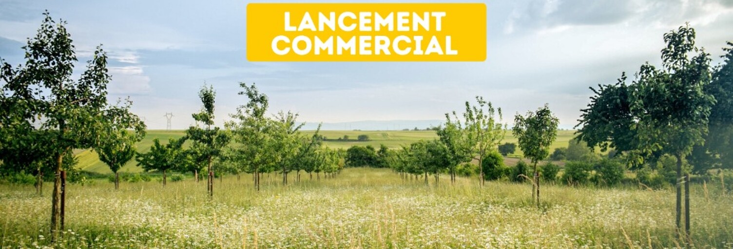 Terrain  607 m² à vendre à Schwobsheim (67390)