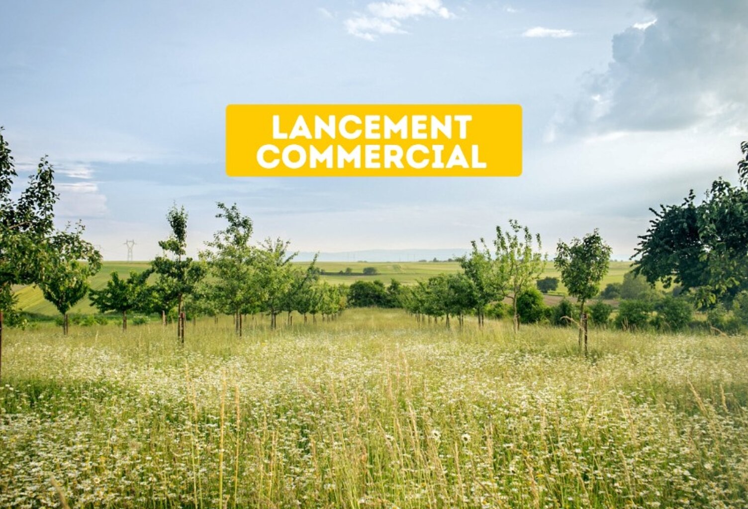 Programme LANGMATTEN à SCHWOBSHEIM — photo 1