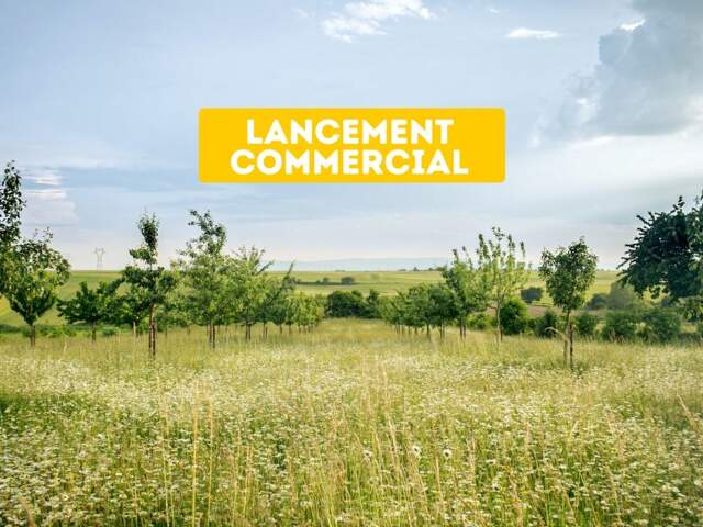 Programme LANGMATTEN à SCHWOBSHEIM — photo du bien