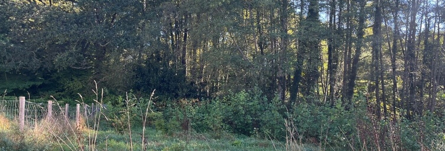 Terrain  578 m² à vendre à Saint-Martin-de-Seignanx (40390)