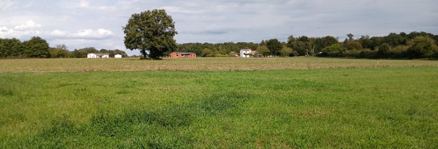 Terrain  2852 m² à vendre à Tocane-Saint-Apre (24350)