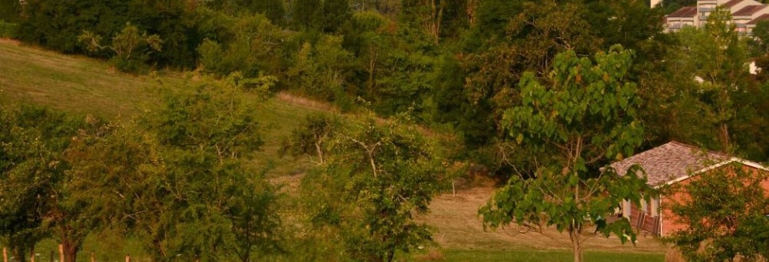 Terrain  1402 m² à vendre à Bon-Encontre (47240)