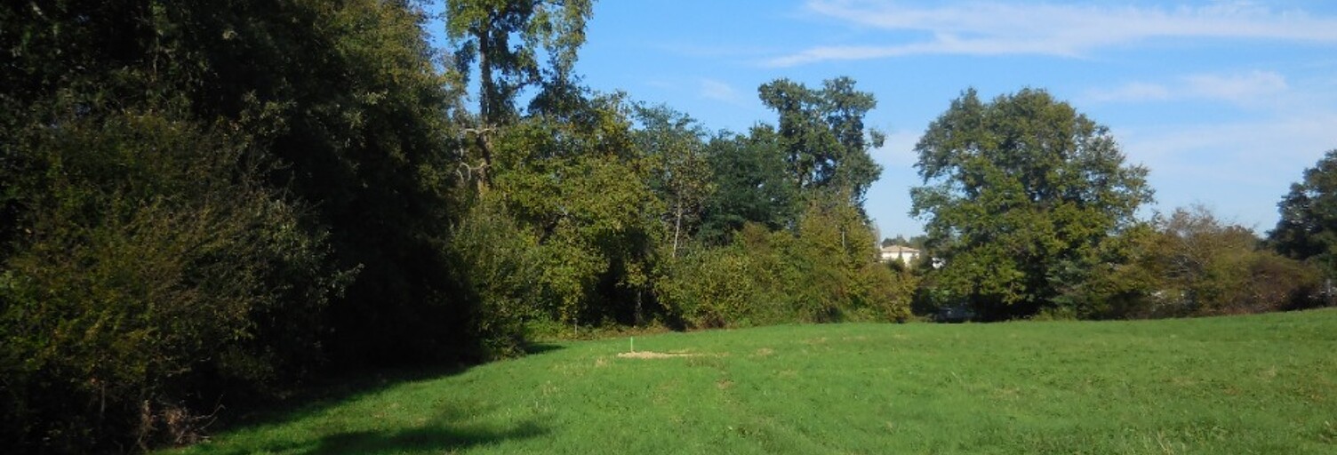 Terrain  1600 m² à vendre à Faleyras (33760)