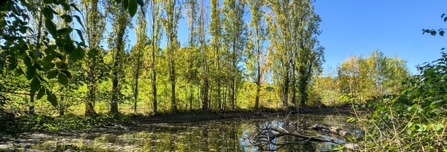 Maison 9 Pièces 230 m² à vendre à Courbiac (47370)