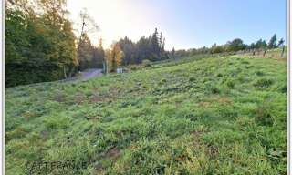 Terrain  1520 m² à vendre à Celles-sur-Durolle (63250)