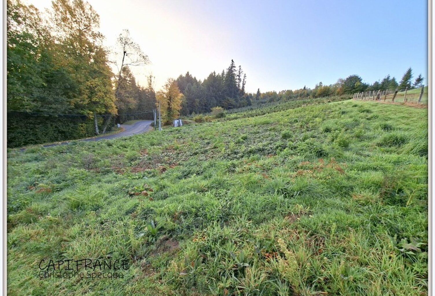 Terrain à vendre  CELLES SUR DUROLLE (63) — photo 1