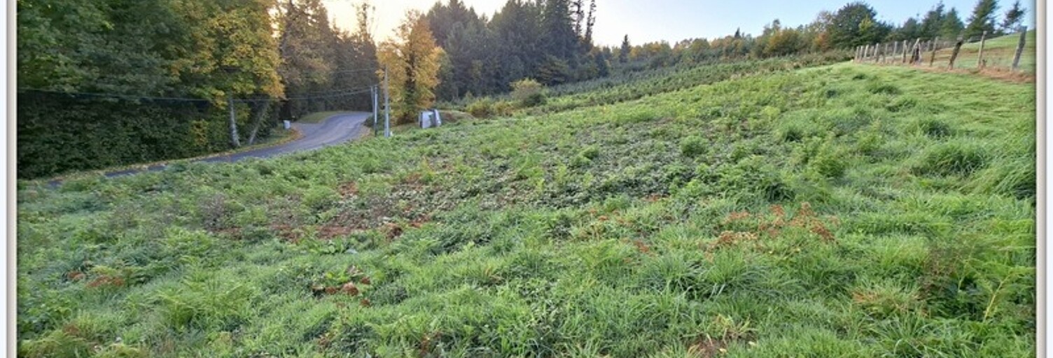 Terrain  1520 m² à vendre à Celles-sur-Durolle (63250)