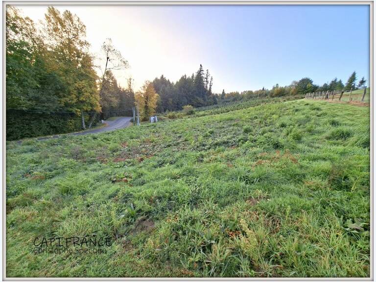 Terrain à vendre  CELLES SUR DUROLLE (63) — photo 1