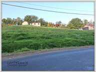 Terrain à vendre  CELLES SUR DUROLLE (63) — photo 3