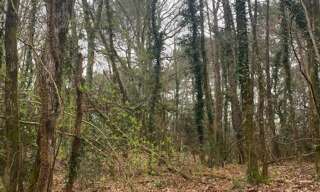 Terrain  1704 m² à vendre à Vielle-Saint-Girons (40560)