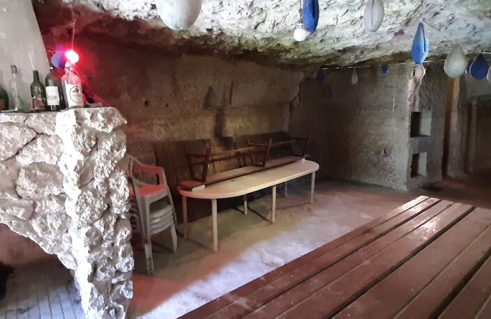 Vente divers  69 m² Parçay-Meslay (37210) — photo 4