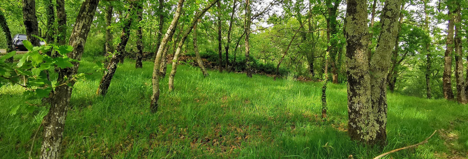 Terrain  587 m² à vendre à Coux (07000)