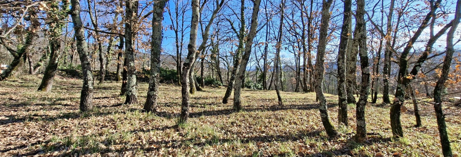 Terrain  587 m² à vendre à Coux (07000)