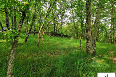 Terrain  63200 €