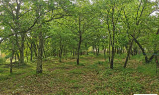 Terrain  720 m² à vendre à Coux (07000)