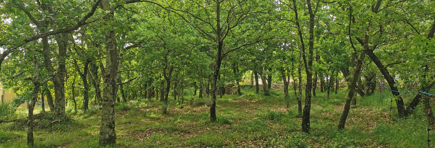 Terrain  720 m² à vendre à Coux (07000)